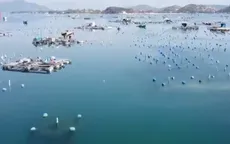 Ngổn ngang vùng nuôi tôm hùm sau thiên tai