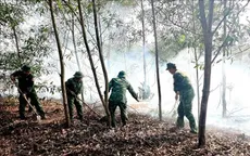 Kịp thời khống chế đám cháy rừng phòng hộ tại ven biển Quảng Trị