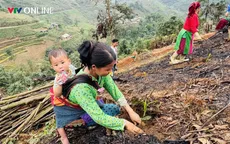 Gieo rừng, giữ đất, dựng tương lai ở Thuận Hòa