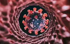 Biến thể COVID-19 Cicada lây lan tại hàng chục bang của Mỹ