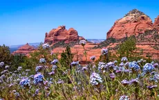 Sedona - Đi để cơ thể thở sâu hơn, tâm trí chậm lại