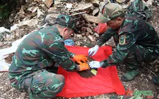 Quyết liệt triển khai công tác tìm kiếm, quy tập và xác định danh tính hài cốt liệt sĩ