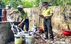 Cơn sốt săn lùng “muội hồng”: Thú chơi tiềm ẩn hệ lụy pháp lý