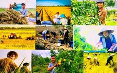 Thúc đẩy phát triển nông nghiệp, nông thôn bền vững