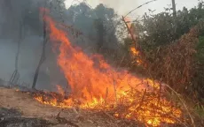 Nguy cơ cháy rừng rất cao ở Điện Biên, nhiều diện tích cảnh báo cháy cấp 5