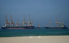 Xuất khẩu dầu vùng Vịnh giảm gần 50%