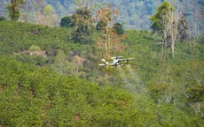 Điện Biên: Thử nghiệm UAV phun phân bón cho cây cà phê