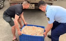 Phát hiện 570kg lòng lợn bốc mùi hôi thối trên xe tải đông lạnh