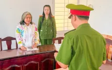 Lừa bán 25.000 m² đất tại Phú Quốc, chiếm đoạt 6 tỷ đồng