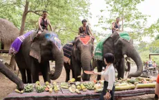 Buôn Đôn chuyển mình: Dừng cưỡi voi, mở lối du lịch bền vững