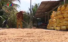 Nông dân chật vật dưới nắng nóng gay gắt