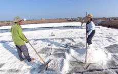 Khám phá giá trị cuộc sống thuận thiên trong “Xuôi về Cà Mau”