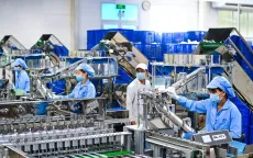 Mở đường cho “sếu đầu đàn” sải cánh