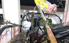 Ninh Bình: Bắt giữ vụ khai thác, vận chuyển cây Muội hồng 