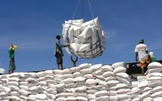 Philippines, Malaysia dẫn đầu nhập khẩu gạo Việt