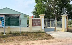 Bắt giam Giám đốc Ban Quản lý rừng phòng hộ ở Gia Lai