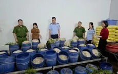 Hai phụ nữ bị khởi tố vì sản xuất gần 1,5 tấn giá đỗ “ngậm” chất cấm