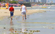 Xác định nguyên nhân nước biển Bãi Sau đổi màu bất thường