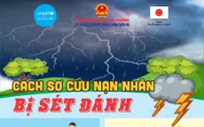 Thiên tai làm 1 người chết, thiệt hại gần 46 tỷ đồng