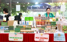 Hà Nội đưa nông sản sạch đến gần người tiêu dùng: Mô hình mới từ nguồn lực sẵn có 