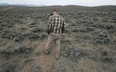 Hạn hán kỷ lục tại Mỹ 