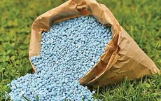 Khủng hoảng kép đẩy giá phân bón châu Âu leo thang