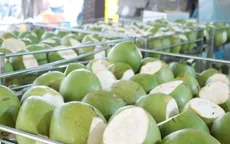 Dừa tươi tăng giá gấp 3 lần