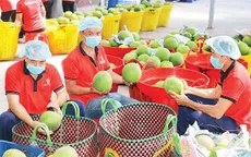Giữ nhịp xuất khẩu - thực hiện mục tiêu tăng trưởng 2 con số