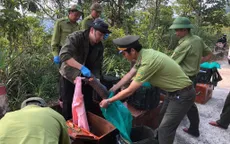 Tái thả 9 cá thể tê tê Java về rừng Bạch Mã