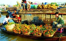Lấy ý kiến dự thảo nghị định mới về quản lý và phát triển chợ