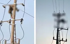 Phát hiện thi thể nam sinh lớp 8 treo trên cột điện trung thế