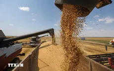Mỹ cam kết cùng G20 ổn định lương thực và phân bón