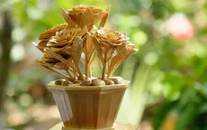 'Rực rỡ hoa tay': Làm đẹp cuộc đời từ những điều bình dị (18h45, VTV10)