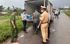 Phát hiện xe tải vận chuyển hơn 1 tấn lòng lợn bốc mùi ôi thiu ở Hưng Yên