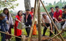Phát động cuộc thi Đại sứ trồng cây, Nhi sứ trồng cây từ Đất Tổ