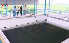 Nâng tỷ lệ nước sạch nông thôn, giám sát chặt chẽ nguồn nước