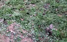 Mưa đá phủ trắng, nhiều diện tích cây trồng ở Điện Biên bị thiệt hại