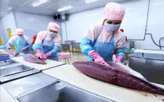 Xuất khẩu nông lâm thủy sản 4 tháng đầu năm đạt 23,04 tỷ USD