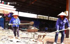 Nghệ An xây dựng 5 kịch bản ứng phó khi có bão mạnh và nước dâng