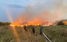 Lâm Đồng: Xảy ra 2 vụ cháy rừng trong dịp lễ, thiệt hại hơn 10ha