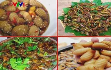 Nguy cơ ngộ độc sau khi ăn côn trùng