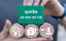 Xử lý xâm phạm quyền sở hữu trí tuệ: Không có vùng cấm, không có ngoại lệ