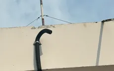 Nhiều nghi vấn sau vụ mất 750m cáp chống sét tại chung cư ở TP Hồ Chí Minh