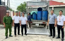 Phát hiện người phụ nữ ở TP Hồ Chí Minh chở 1 tấn lợn chết, hôi thối đi tiêu thụ