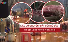 Liệu có chuyện "bắt cóc bỏ đĩa" khi dẹp lò mổ không phép? (Kỳ 2)