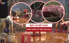 Dẹp lò mổ chui, phải chặn từ đầu ra (Kỳ 3)