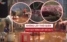 Không lấy thói quen thay quy trình giết mổ (Kỳ 1)