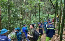 Đi tìm thảo dược, người đàn ông mất tích trong rừng