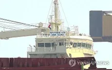 Hàn Quốc điều tra vụ tàu hàng trúng vật thể lạ ở eo biển Hormuz 