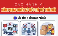 [Infographic] Các hành vi nào xâm phạm quyền sở hữu trí tuệ?